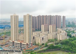 點擊查看詳細信息...